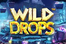 Wild Drops slot